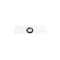 Festool O-ring