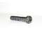 Festool Screw