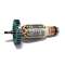 Makita ARMATURE ASS'Y 240V